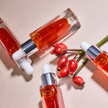 Charger l'image dans la galerie, Concentré d’églantier