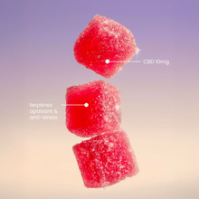 Charger l'image dans la galerie, Gummies Relax