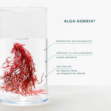 Charger l'image dans la galerie, Huile Solaire invisible SPF50