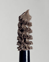 Charger l'image dans la galerie, Grow & Fix : Gel Teinté pour sourcils