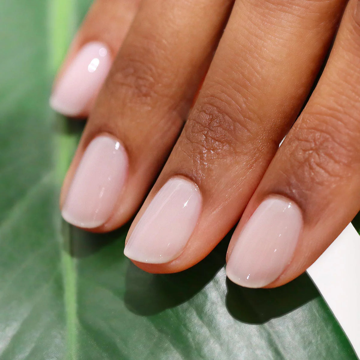 Vernis Green Classique - Milky White