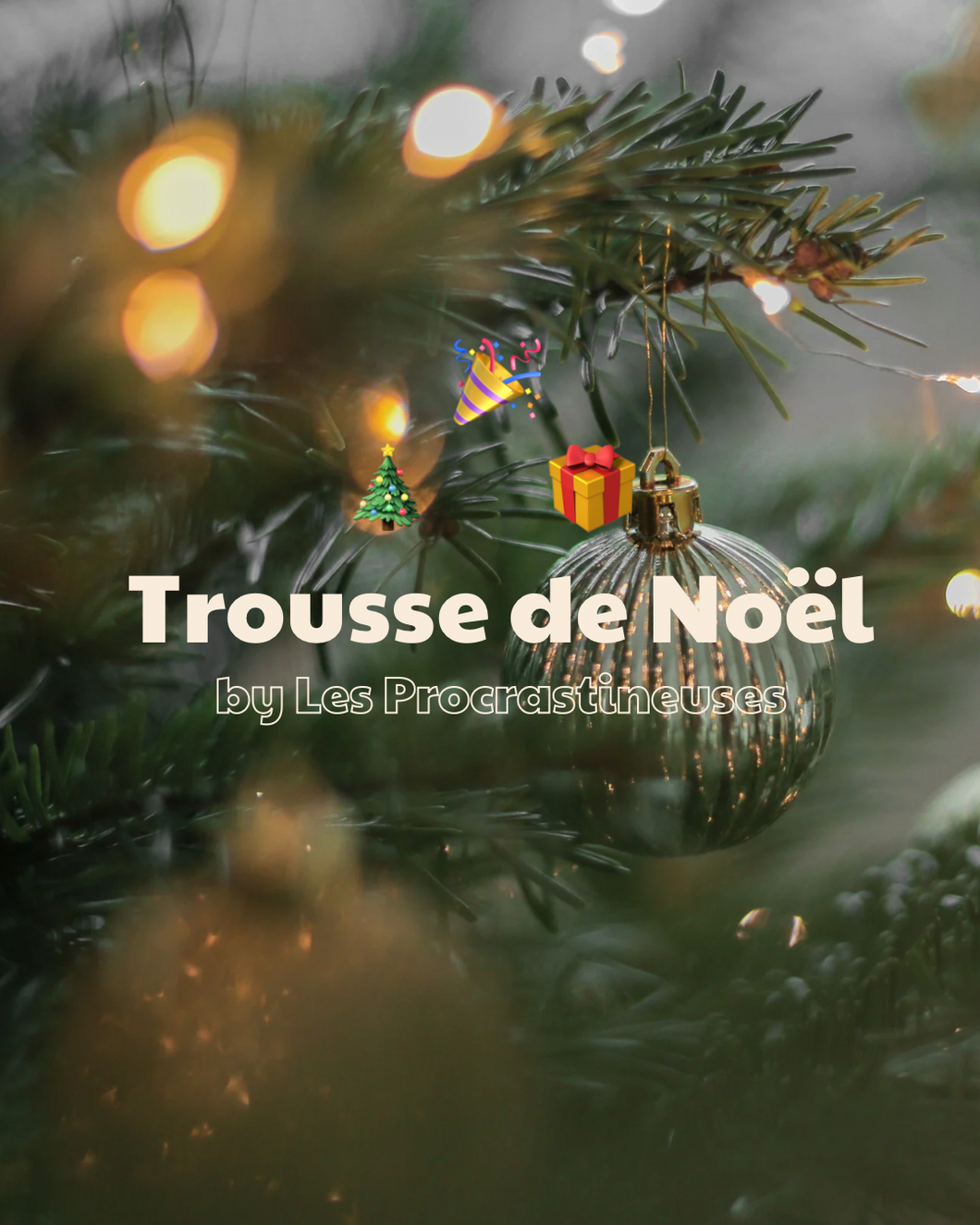 Trousse Surprise de Noël🎄