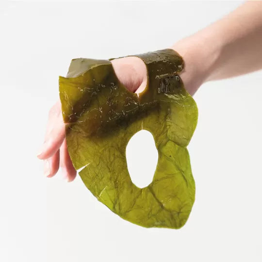 Masque aux algues de la marque whamisa, skincare coréenne, vendu chez Les Procrastineuses à Tours