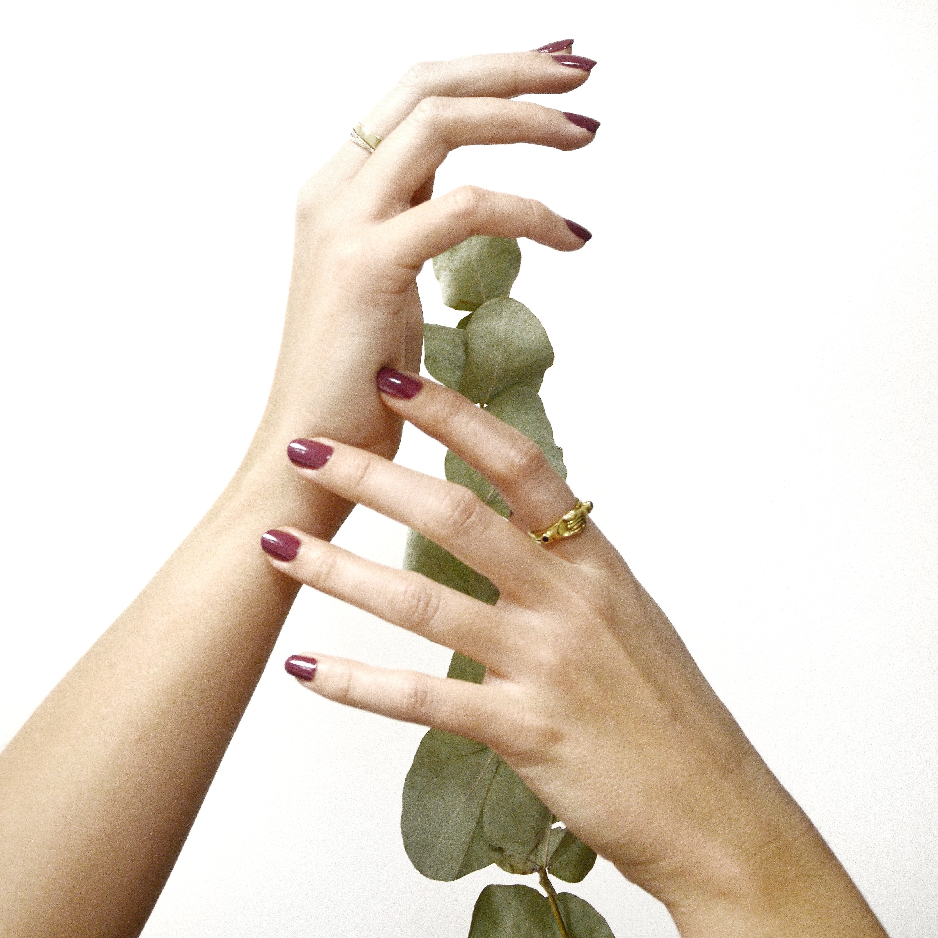 Vernis #5 Ambitieuse